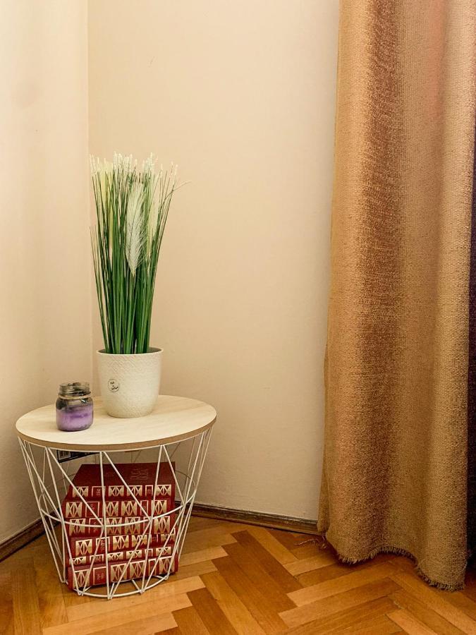 Cute, Spacious Apt In The Heart Of The Old Town Ποντγορίτσα Εξωτερικό φωτογραφία